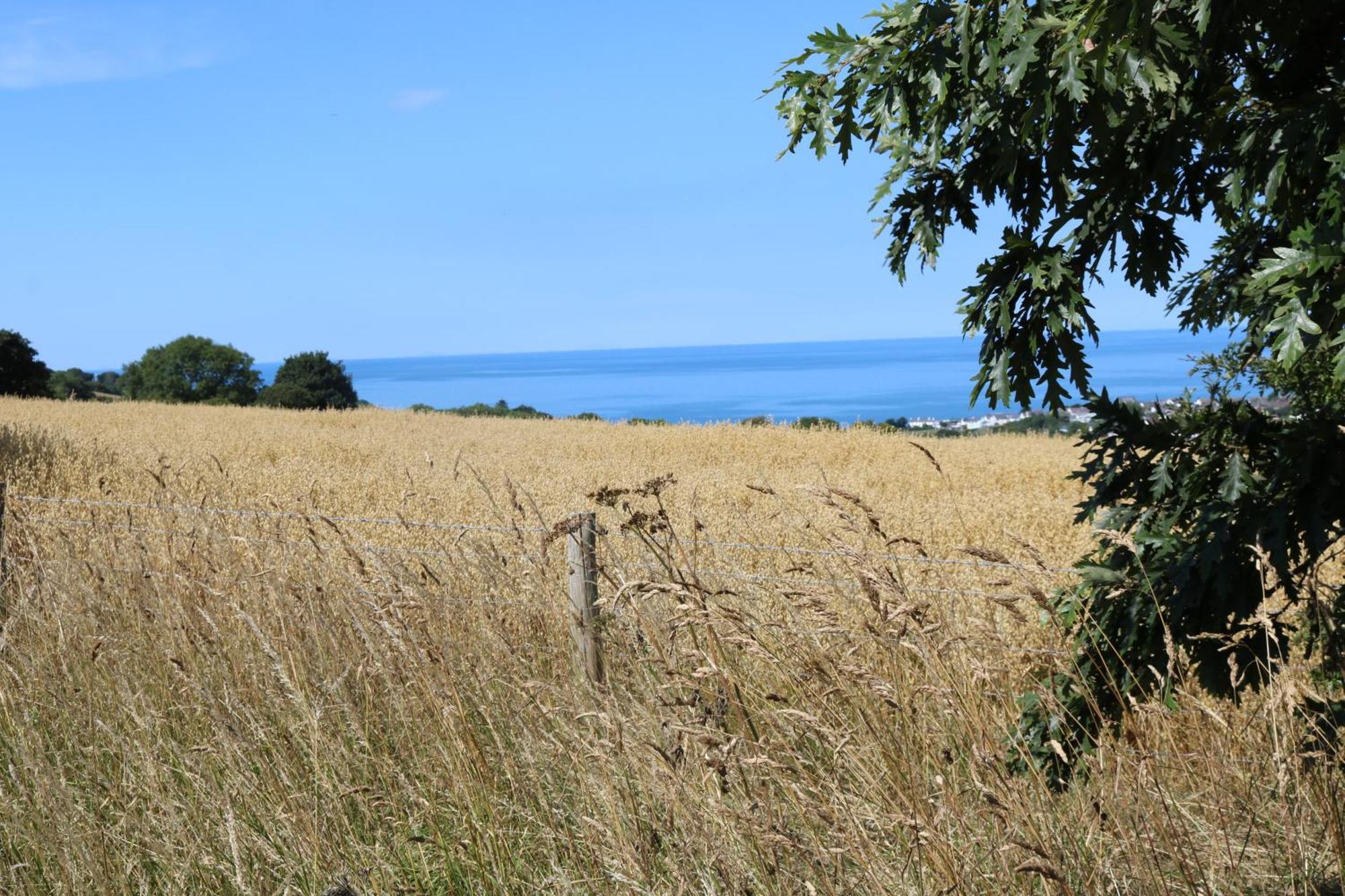 Penlan Coastal Cottages - Cornerstone Аберпорт Екстериор снимка